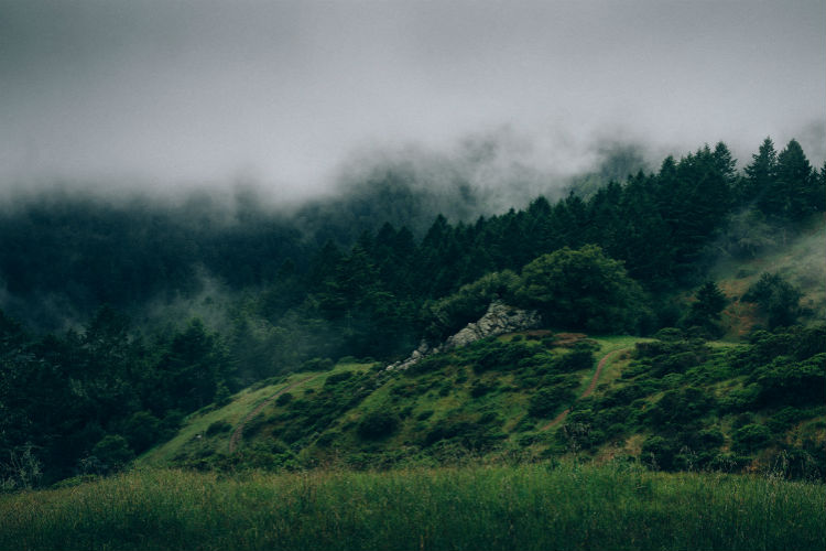 ddos攻击ip软件下载